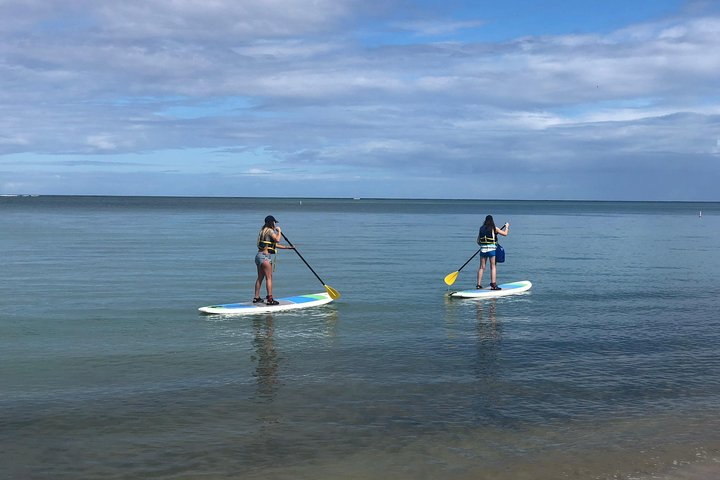 Paddleboard Rental in Puerto Rico